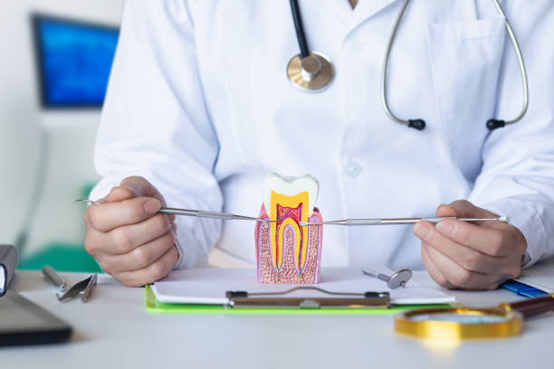 Best Emergency Dental Services for Seniors in Colville, WA